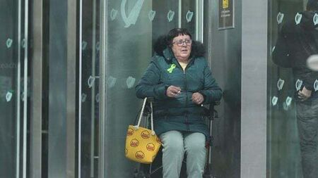 Pensioner used hammer to cause €10,000 damage to car after row about flower pots