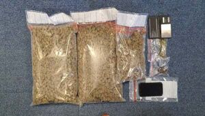 Cannabis worth €85,000 seized and 10 arrested during major operation in Co Wexford