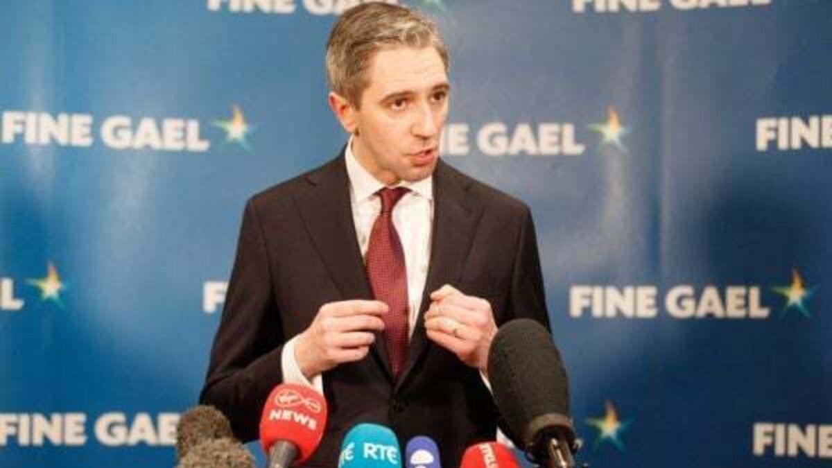 Simon Harris ‘very conscious’ of business costs, public safety and housing