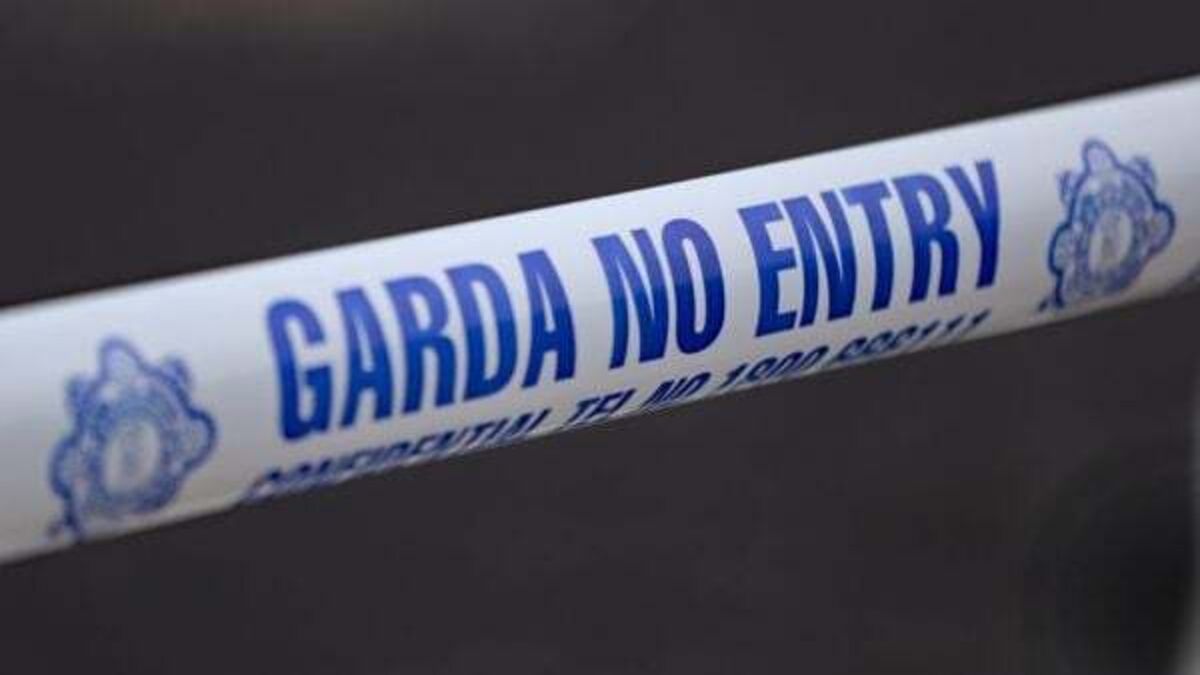 Woman dies after incident with car in Wexford