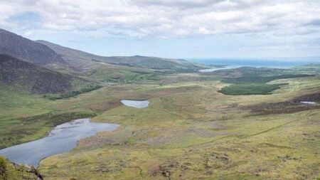 Kerry County Council spent almost €185,000 on project to rebrand the county