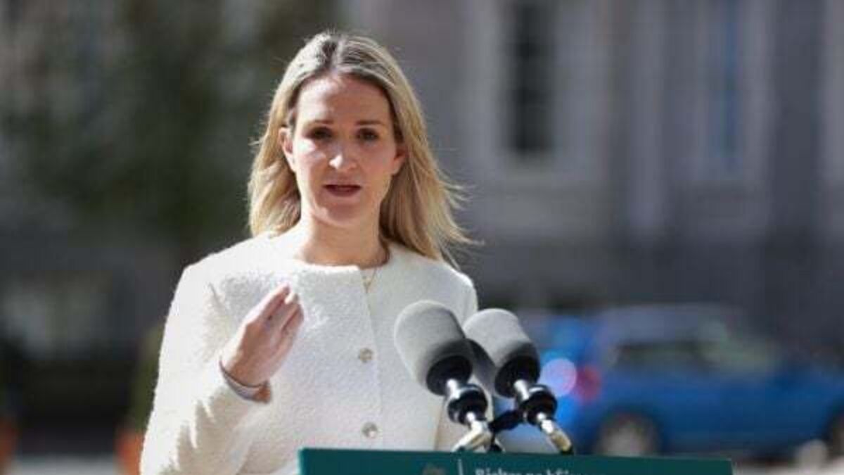 Less than 100 people have been deported since start of 2023 – McEntee