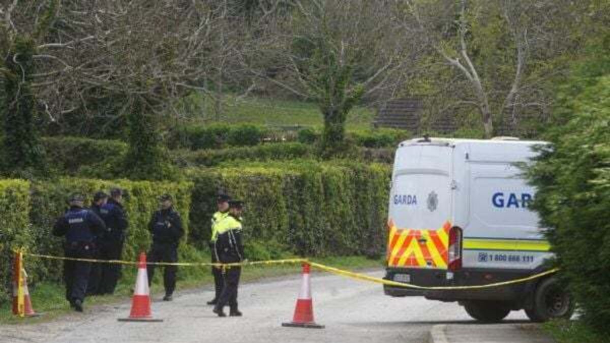 Four appear in court over Newtownmountkennedy incident