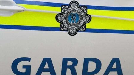 Woman (80s) in serious condition after attack in Louth