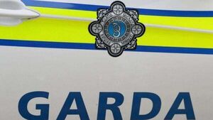 Woman (80s) in serious condition after attack in Louth