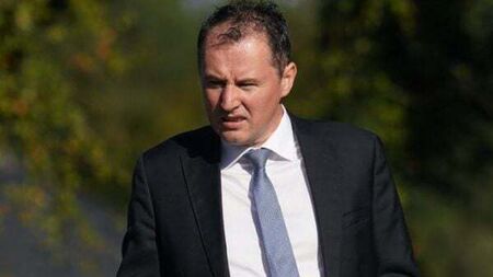 Minister to introduce regulations to ban use of electric dog collars