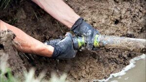 Nearly half of tested septic tanks failed inspections in 2023