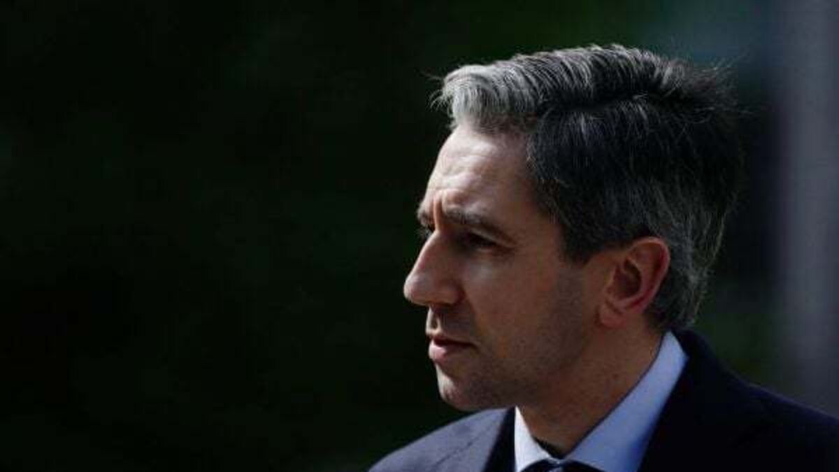 Harris focusing on ‘effective deportations’ and increased workplace inspections