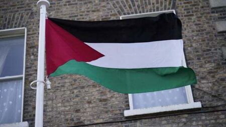 Ireland should impose sanctions on Israel to stop Palestinian deaths – activists