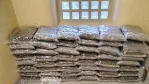 Suspected cannabis worth €1m seized in Co Meath Suspected cannabis worth €1m seized in Co Meath