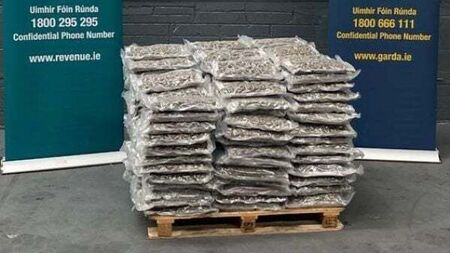 Two arrested after cannabis worth €2.1m seized