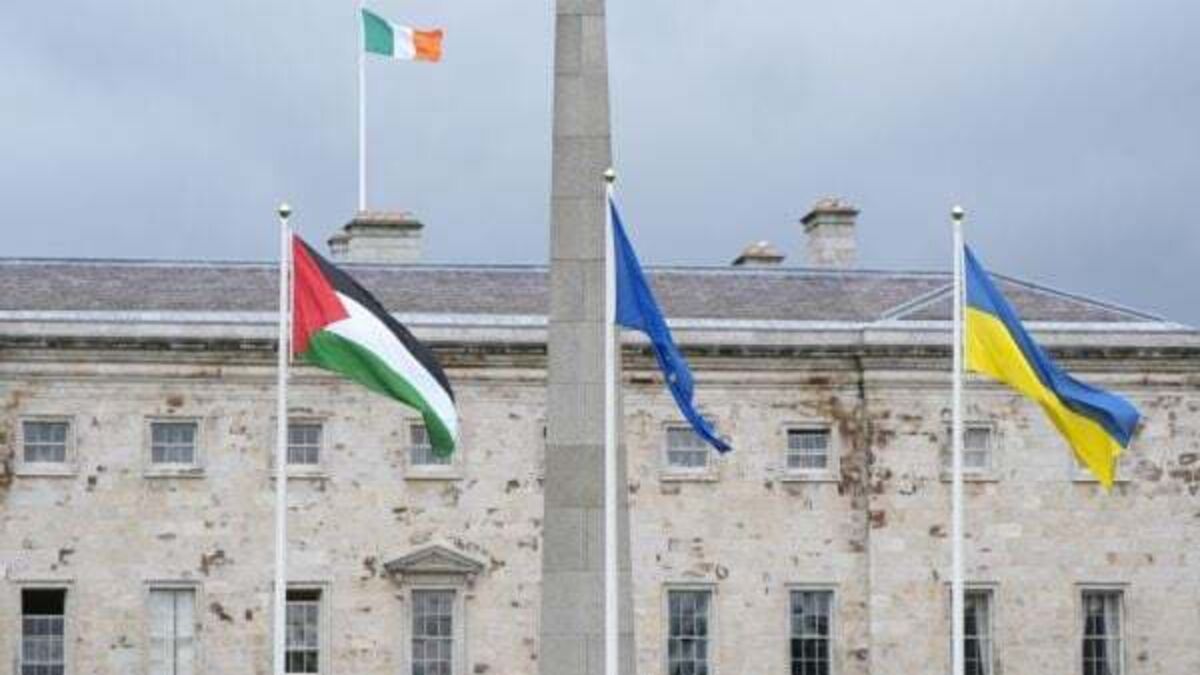 Man in court charged over alleged attempt to remove Palestinian flag from Leinster House