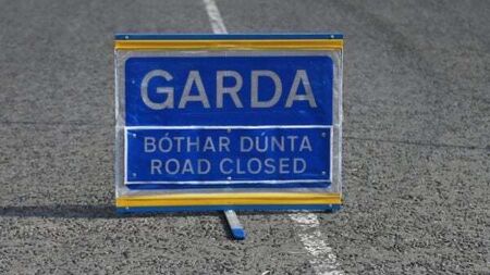 Man dies in single-vehicle collision in Clare