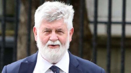 Court challenge to permission for Supermac's motorway plaza in Clare