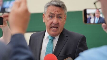 Irish voters rejected ‘anti-migrant’ candidates and returned to centre – Kelleher