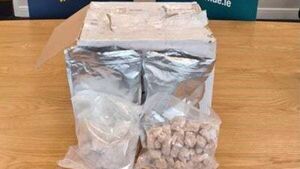 Two men arrested following drugs seizure in Mayo