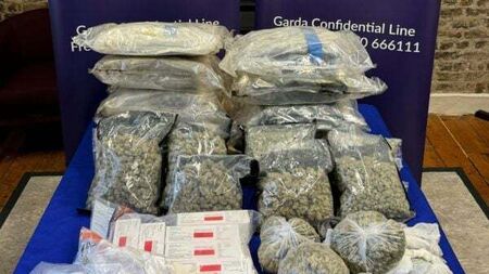 Woman (40s) arrested after drugs worth €410,000 seized in Tallaght