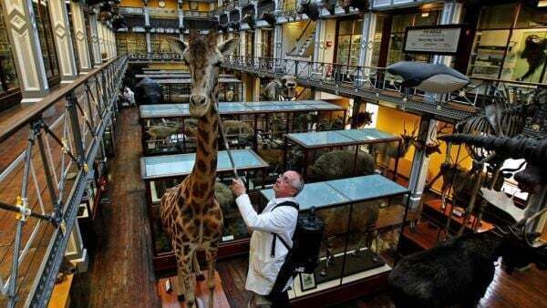 Natural History Museum to close for extensive building conservation works