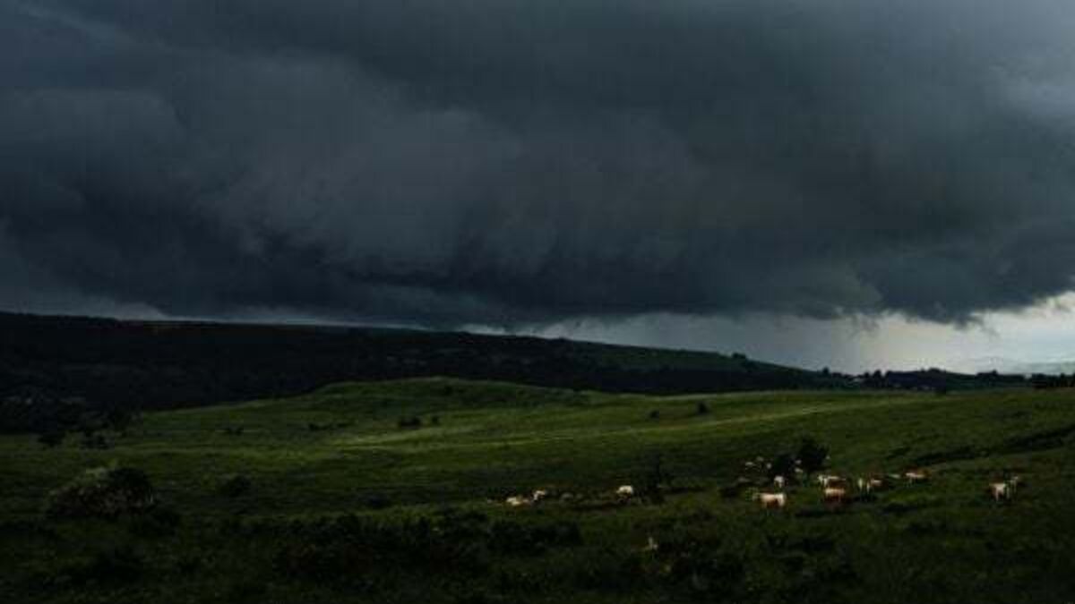 Yellow thunderstorm warning in place for nine counties