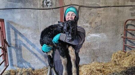 Female dairy farmer struggles to find workwear to fit women