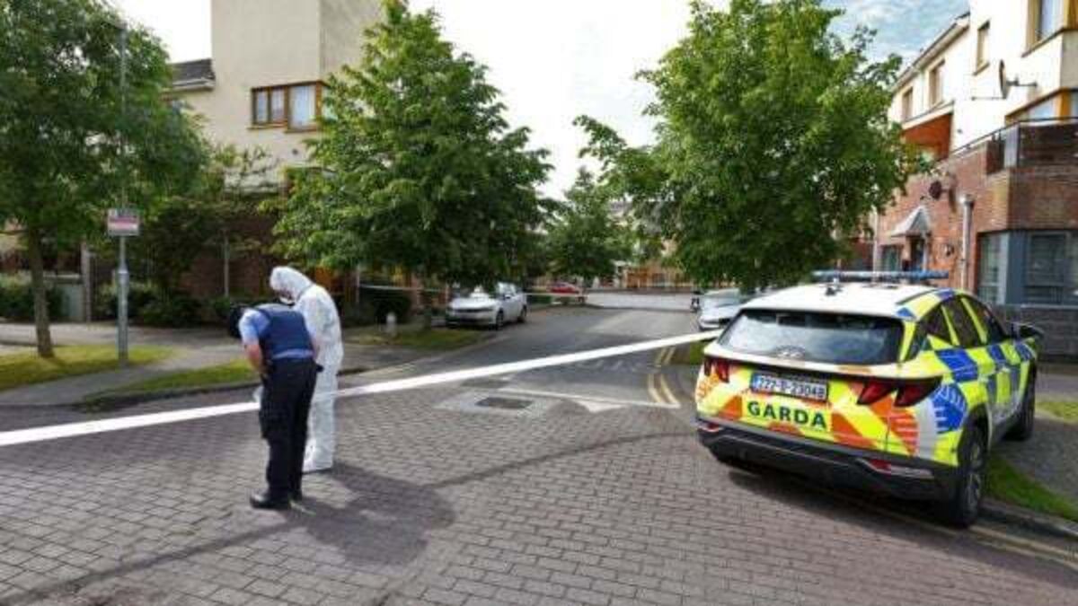 Man arrested following fatal assault in Dublin