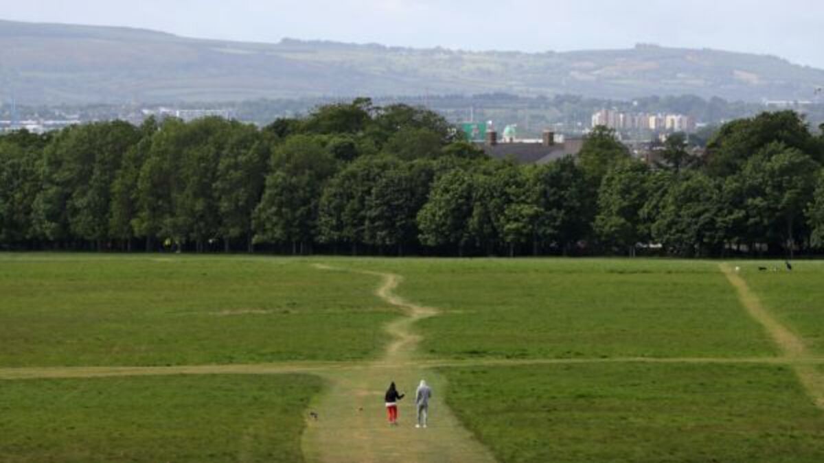 McEntee urged to fast-track hate crime laws after gay men ‘hunted’ by group with knives