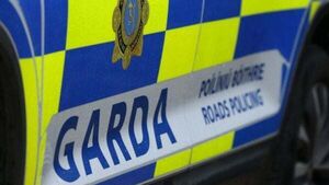 Woman (80s) dies after being hit by van in Carlow town Woman (80s) dies after being hit by van in Carlow town