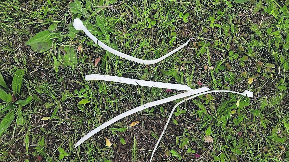Election poster cable ties scattered around Green