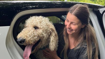 Benjy the goldendoodle finds his forever home