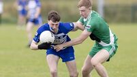 Naas add to incredible trophy winning run