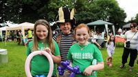 Kildare Animal Foundation host open day