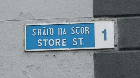 Violent offender left victim's jaw exposed after shank attack in front of Garda station