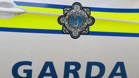 Two men arrested after three injured in Louth assault