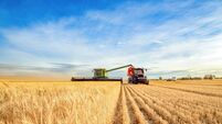 Kildare Senator engaging with Agriculture Minister on concerns for tillage farmers
