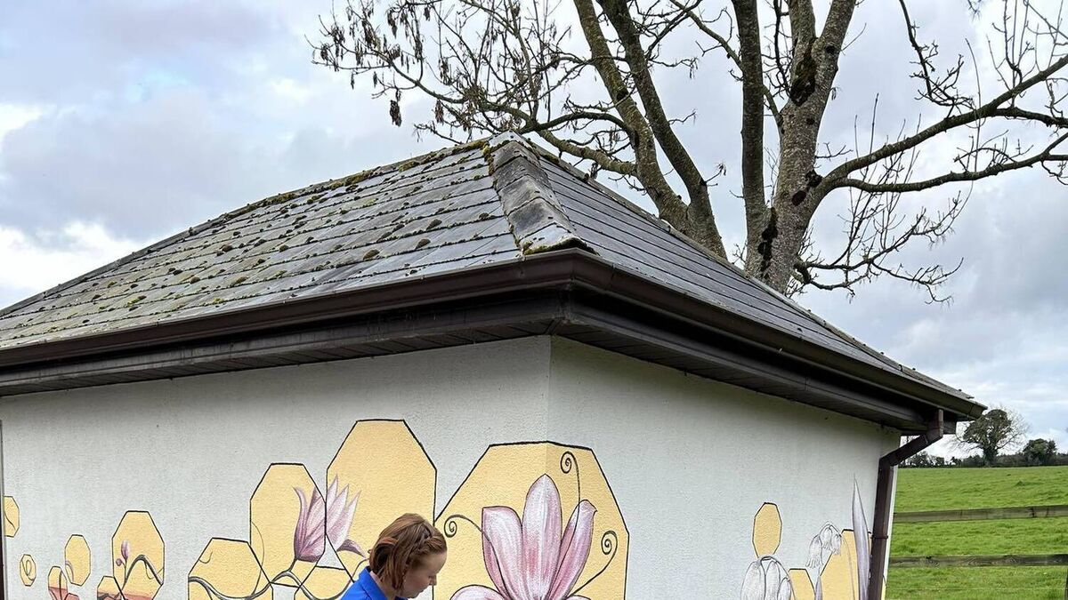 Sound baths, hedge schools, Lotto and GAA in Moone/Timolin