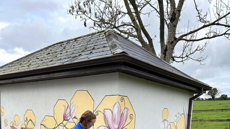 Sound baths, hedge schools, Lotto and GAA in Moone/Timolin