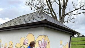 Sound baths, hedge schools, Lotto and GAA in Moone/Timolin