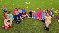 Sound baths, hedge schools, Lotto and GAA in Moone/Timolin