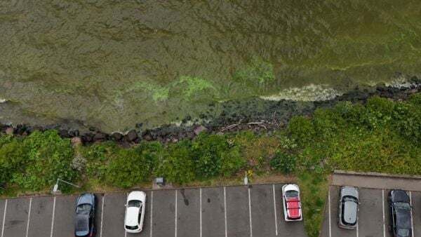 Scale of change needed to tackle Lough Neagh problems 'unprecedented'