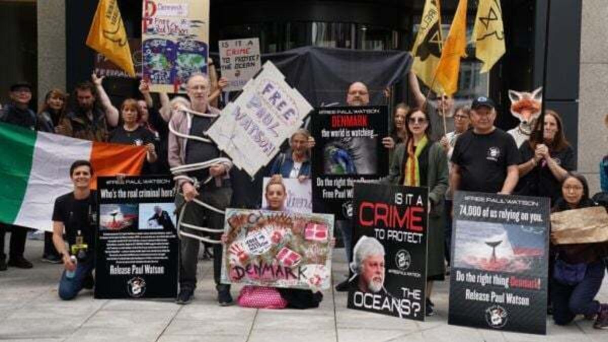 Protest at Danish embassy in Dublin calling for anti-whaling activist’s release