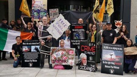 Protest at Danish embassy in Dublin calling for anti-whaling activist’s release