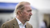 Dermot Weld could add to his long list of winners at Galway Festival