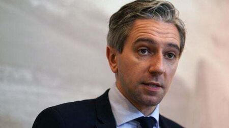 Immigrants to pay for State-provided services in the future, says Taoiseach