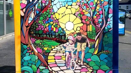 Naas mural boxes are a big hit!