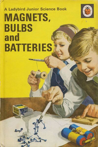 The book that inspired it all for Eugene — Magnets, Bulbs and Batteries The book that inspired it all for Eugene — Magnets, Bulbs and Batteries