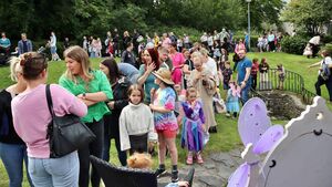Big Family Day planned for Kilcullen's Valley Park