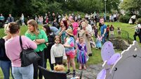 Big Family Day planned for Kilcullen's Valley Park