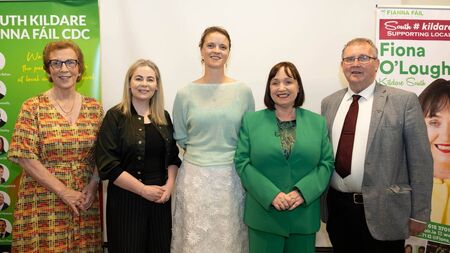 Senator gets the sole FF nod for Kildare South seat
