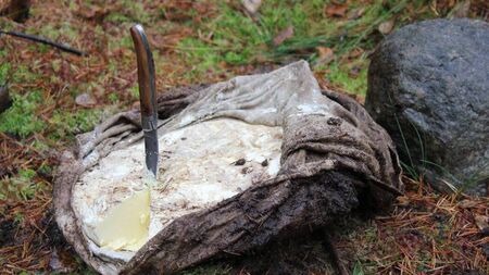 Living Greener: Bog butter is good on popcorn!