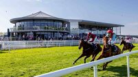 Preview of today's action at Naas Racecourse